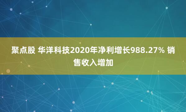 聚点股 华洋科技2020年净利增长988.27% 销售收入增加