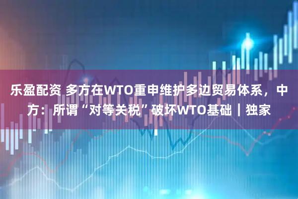 乐盈配资 多方在WTO重申维护多边贸易体系，中方：所谓“对等关税”破坏WTO基础｜独家