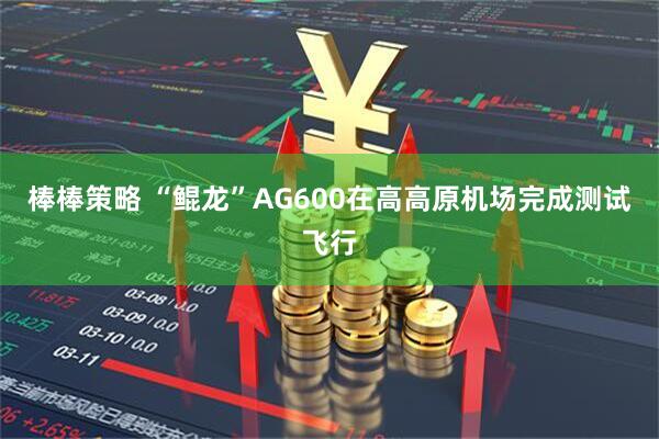 棒棒策略 “鲲龙”AG600在高高原机场完成测试飞行